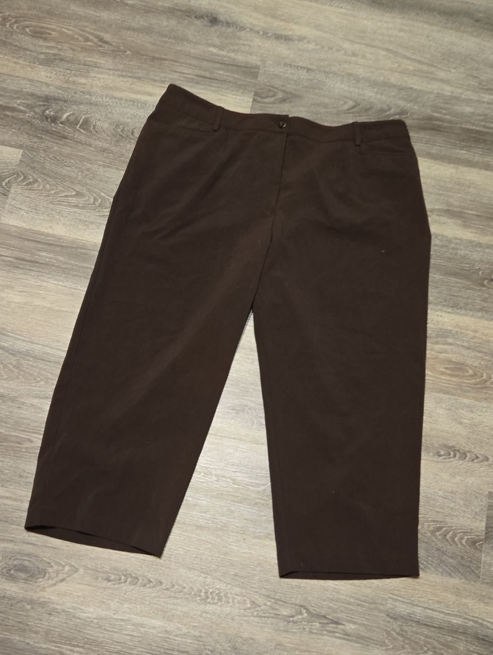 Chocolate Brown Dress Barn Cropped Pants Size 16w